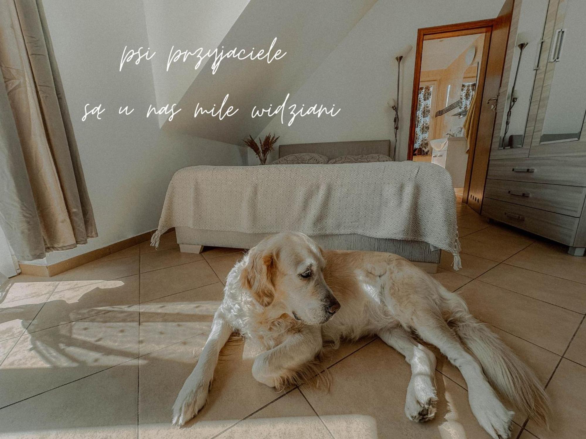 Boho Przystan Lazy (West Pomeranian) Ngoại thất bức ảnh