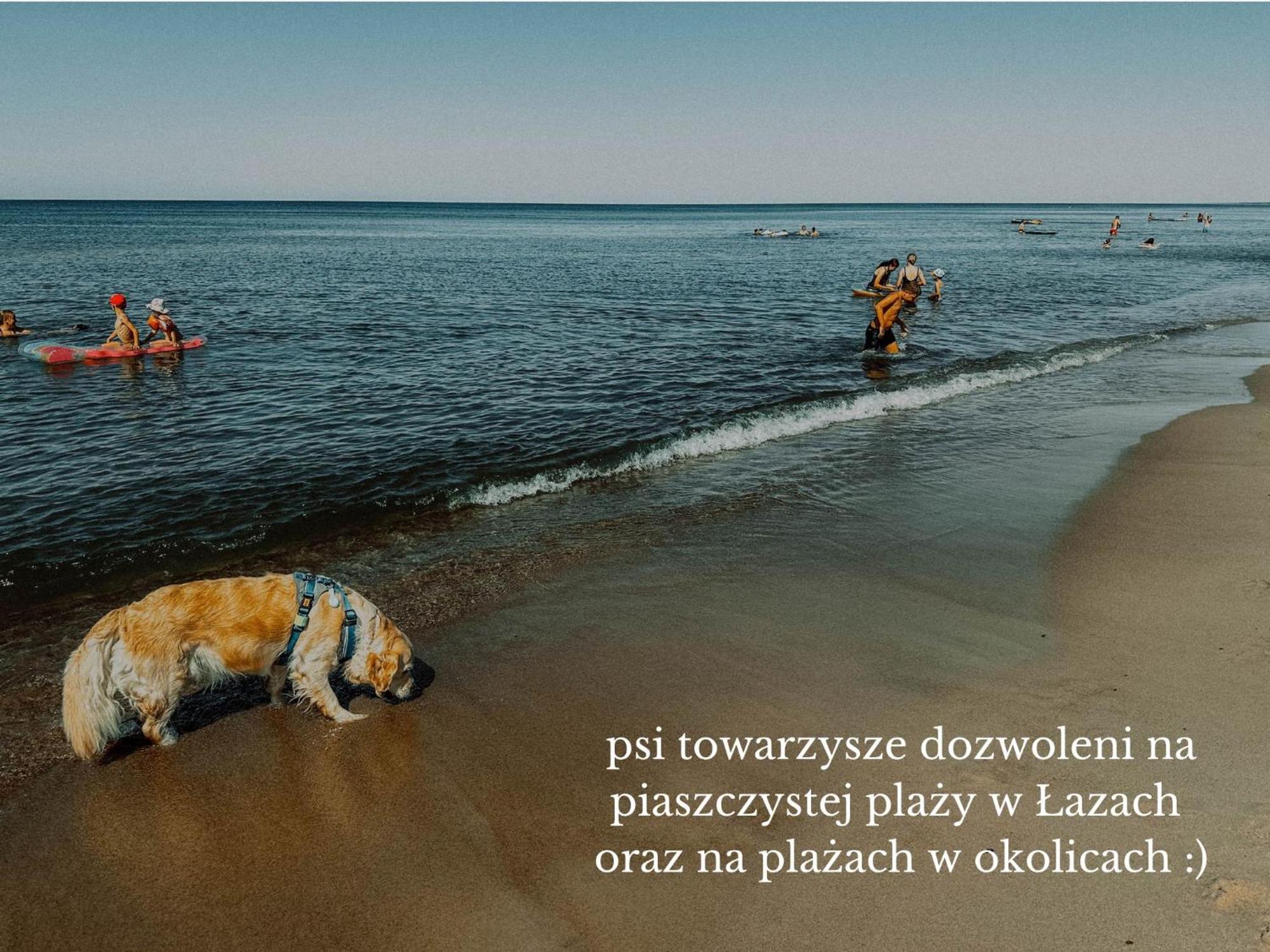 Boho Przystan Lazy (West Pomeranian) Ngoại thất bức ảnh